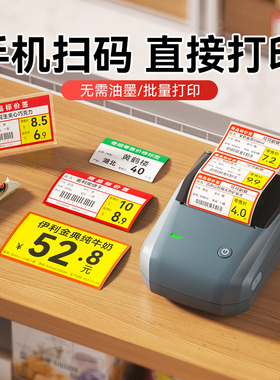 精臣商业B1超市价格标签打印机烟零售打码机零食货架食品条码贴纸打码器商用小型热敏手持便携式打价格标签机