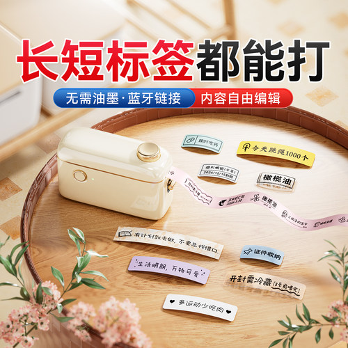 精臣商业H1S家用标签打印机