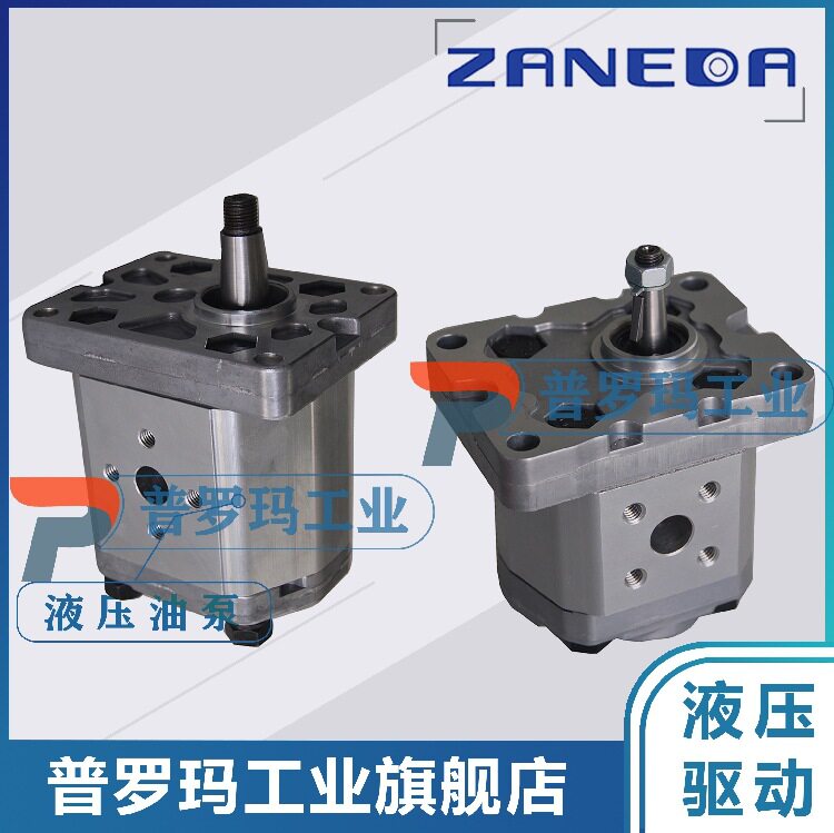 厂家直销NEDA油泵 1ZKPQ0/Q1/Q2/B0 D5.8G0L1-B G0L3 T0F0 1ZAPB0