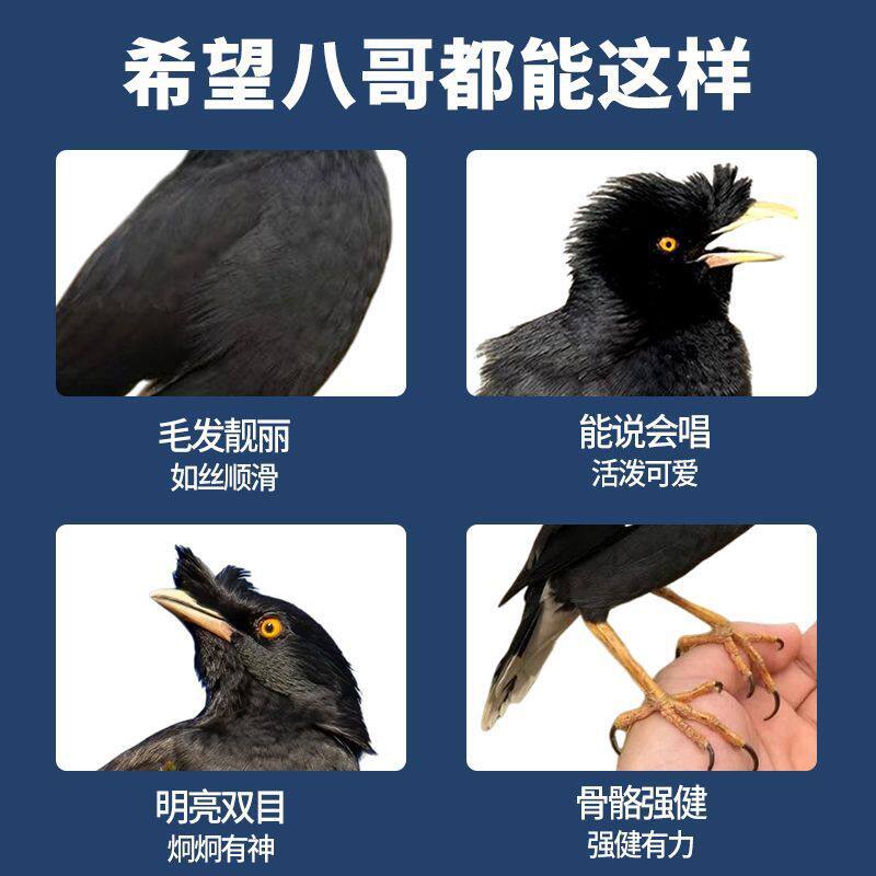 饲料营养鸟食鸟粮食物食料鹩哥粮食零食粮巴哥食粮