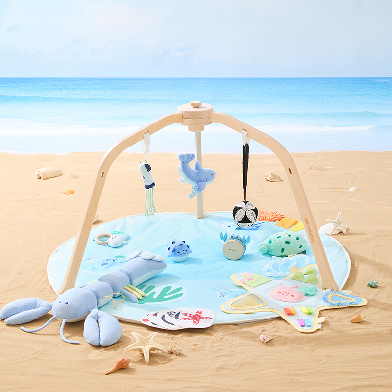 鲸屿健身架首发福利