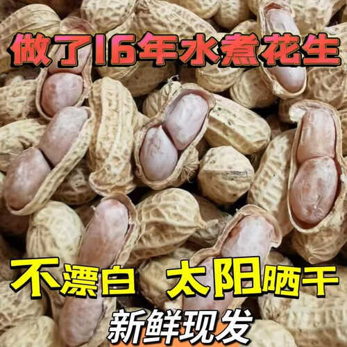 【2025新货】龙岩花生带壳蒜香花生水煮花生白晒干网红特价零食