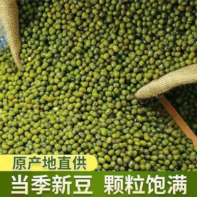 5斤东北农家绿豆新绿豆绿豆粥解暑绿豆汤笨绿豆发豆芽绿豆糕100g