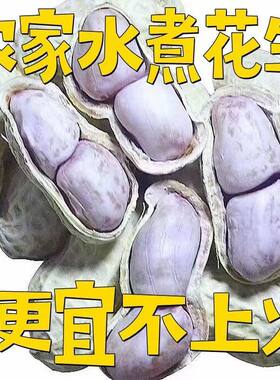 【新货】26年水煮花生晒干蒜香五香农家年货花生西湖龙井特价批发