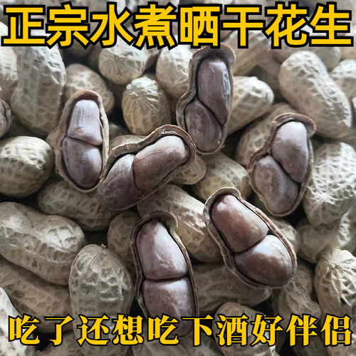 2026新货花生农家五香水煮白晒日晒多味原味咸干龙岩带花生带壳