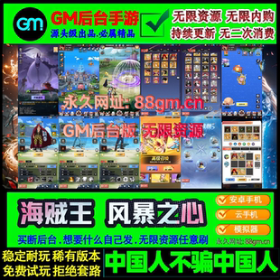 风暴之心手游gm游戏后台无限内购海贼王苹果安卓卡牌买断非单机版