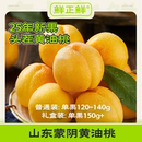水果 鲜正鲜山东蒙阴黄金油桃黄桃黄肉脆软两吃蜜桃应季