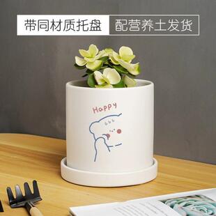 室内轻奢家用可爱创意多肉绿植盆栽蝴蝶兰陶瓷花盆营养土带托盘