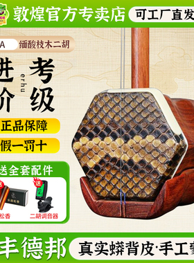 敦煌二胡03A/04A/05A/06A/07A/考级演奏初学二胡【敦煌专卖店】