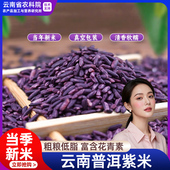 正宗墨江紫米新米云南特产配黑米紫糯米血糯米糙米饭团 农科院