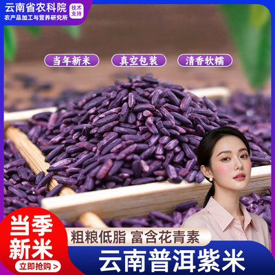 【农科院】正宗墨江紫米新米云南特产配黑米紫糯米血糯米糙米饭团