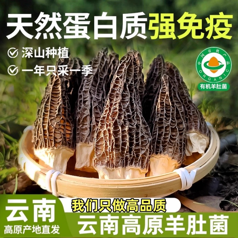 农科院云南头茬特级干羊肚菌野生新鲜羊肚菌干货汤料包官方旗舰店