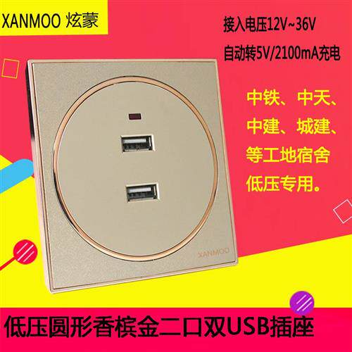 86香槟金船房车usb插座低压12V24VUSB插座36V二孔USB充电插座面板