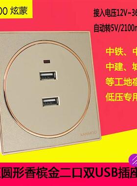 86香槟金船房车usb插座低压12V24VUSB插座36V二孔USB充电插座面板