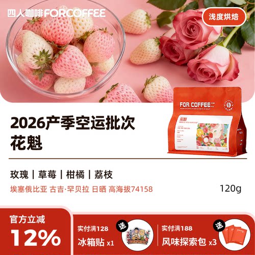 四人2026产季花魁埃塞俄比亚手冲冷萃日晒浅烘咖啡豆120g
