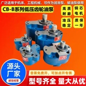 B125锯床润滑泵液压齿轮油泵 B10 B25 B20 B100 B16 B63