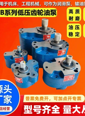 CB-B10/B6/B4/B16/B20/B25/B63/B100/B125锯床润滑泵液压齿轮油泵