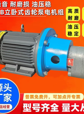 CB-B125/B40JZ CB-B63/80/100JZ立卧式齿轮油泵电机润滑2.2/3/4KW