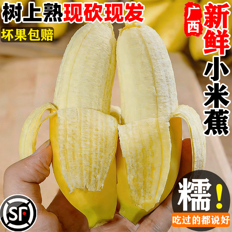 正宗广西当季自然熟小米蕉整箱