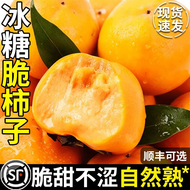 正宗巧克力冰糖脆柿子10斤新鲜水果应季脆甜硬红火晶大软当季整箱