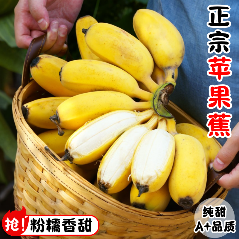 【正宗苹果蕉】绝不拿小米蕉替代