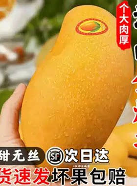 海南金煌芒果一级现摘青甜包邮