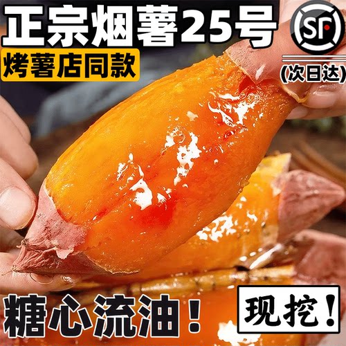 山东烟薯25号沙地糖心蜜薯烤红薯