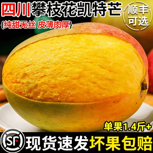 四川攀枝花凯特芒果新鲜应季水果芒果整箱包邮特大青忙果当季