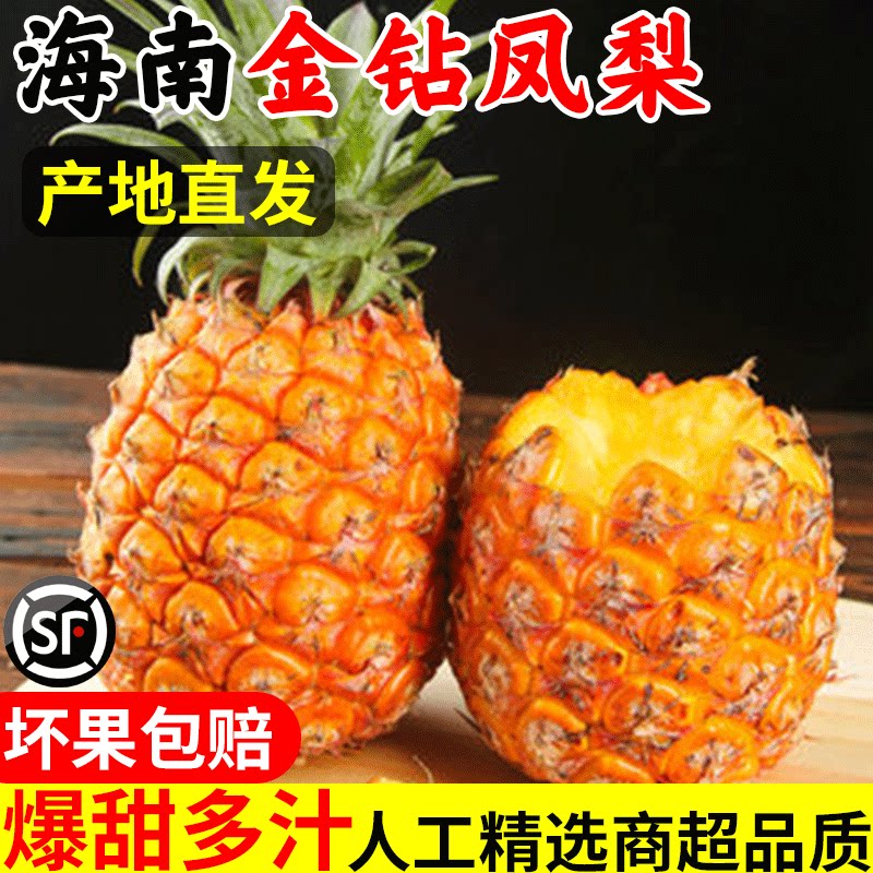 1g ͷ�糢��1��װ������300g�� �ٷ��Ƽ��������Ͻ�ש���桿