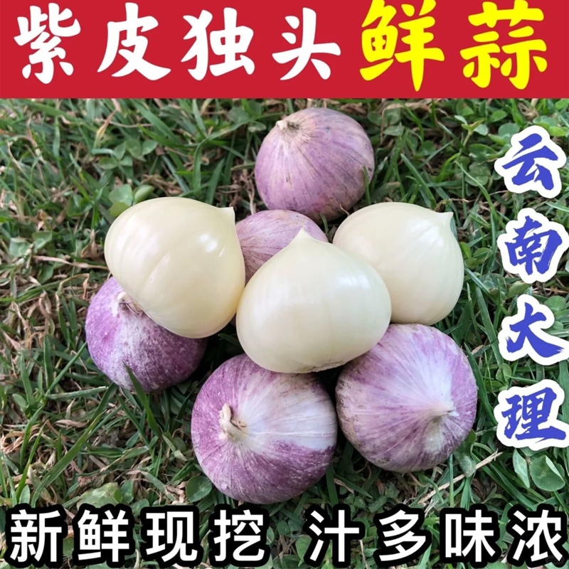 云南独头蒜大蒜头新鲜紫皮独蒜湿大蒜红珍珠干蒜5斤蔬菜当季整箱