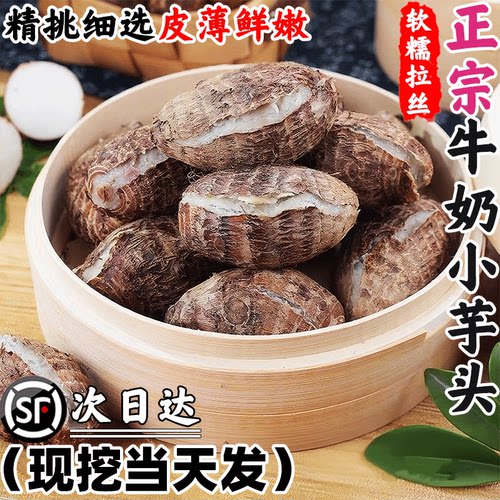 顺丰次日达！云南牛奶芋头小香芋