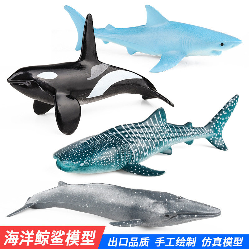 仿真海洋动物模型实心虎鲸蓝鲨鲸鲨灰鲸模型创意鱼缸装饰造景