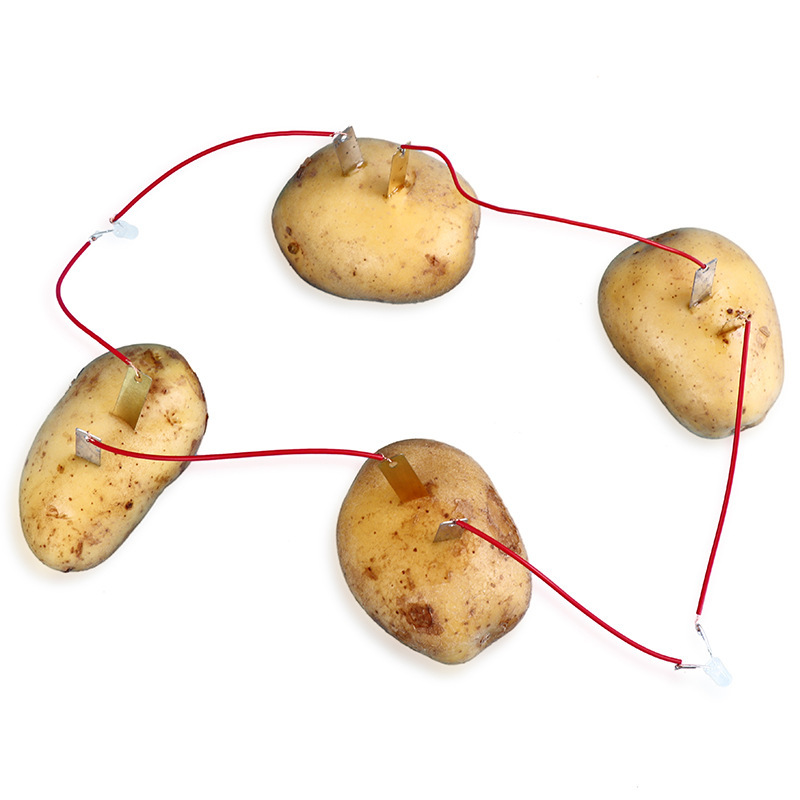 科技小制作DIY水果电池土豆发电