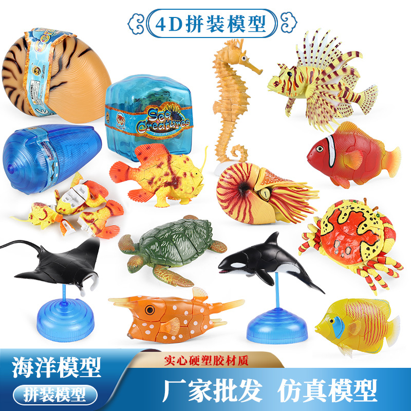 4D立体拼装模型仿真海洋动物玩具