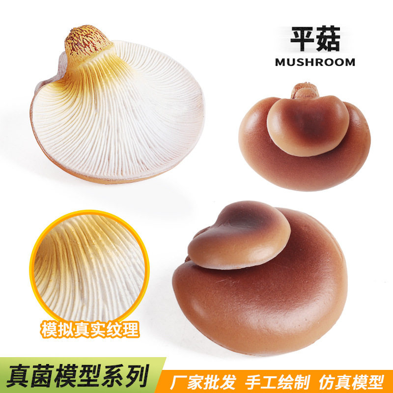 儿童仿真食品玩具模型蘑菇平菇香菇蘑菇菌菇蔬菜果蔬野菜拍摄道具