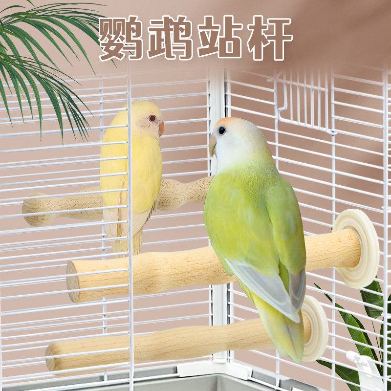 刺星球鹦鹉大垫片天然木站杆站棒鸟类用品站架玄凤虎皮牡丹,宠物/宠物食品及用品,鸟秋千,淘宝优惠券,粉丝福利购,淘宝优惠卷