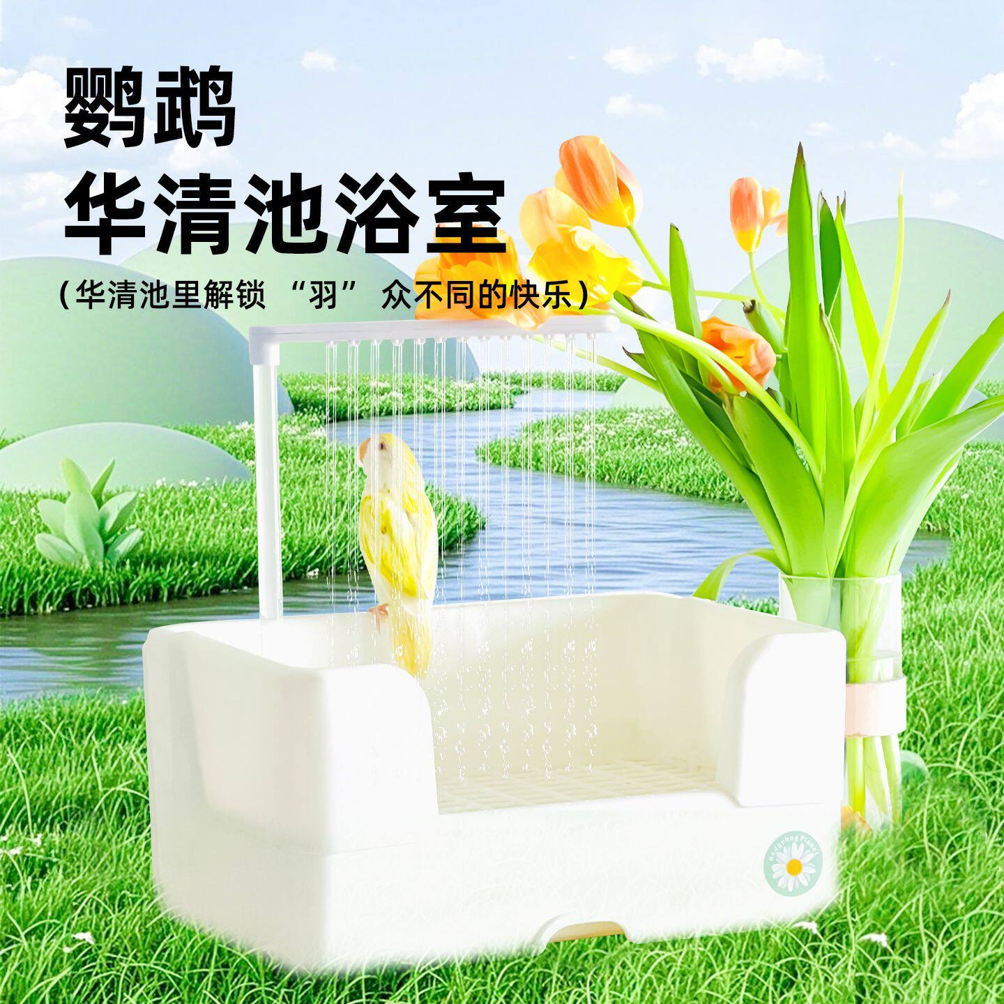 刺星球华清池鹦鹉浴室鸟用洗澡盆牡丹玄凤浴池鹦鹉洗澡防溅水循环