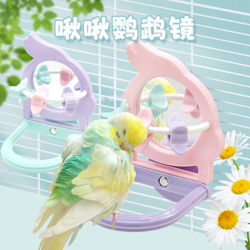 刺星球啾啾鹦鹉镜子玩具牡丹解闷用品用具鹦鹉站架杆啃咬小鸟玩具,宠物/宠物食品及用品,鸟玩具,淘宝优惠券,粉丝福利购,淘宝优惠卷