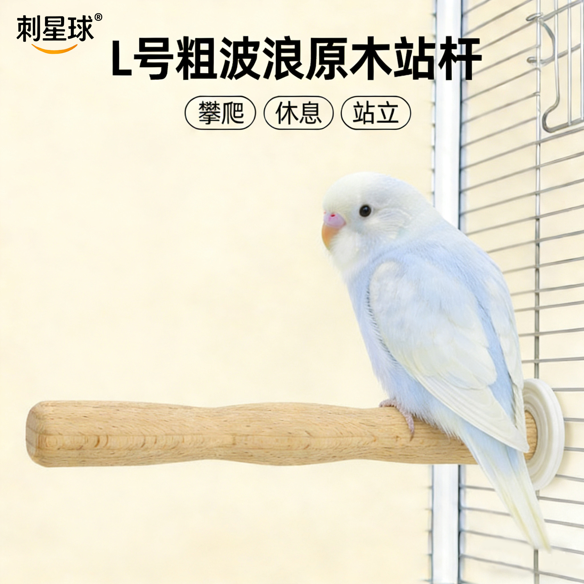 大垫片鹦鹉站杆刺星球图片