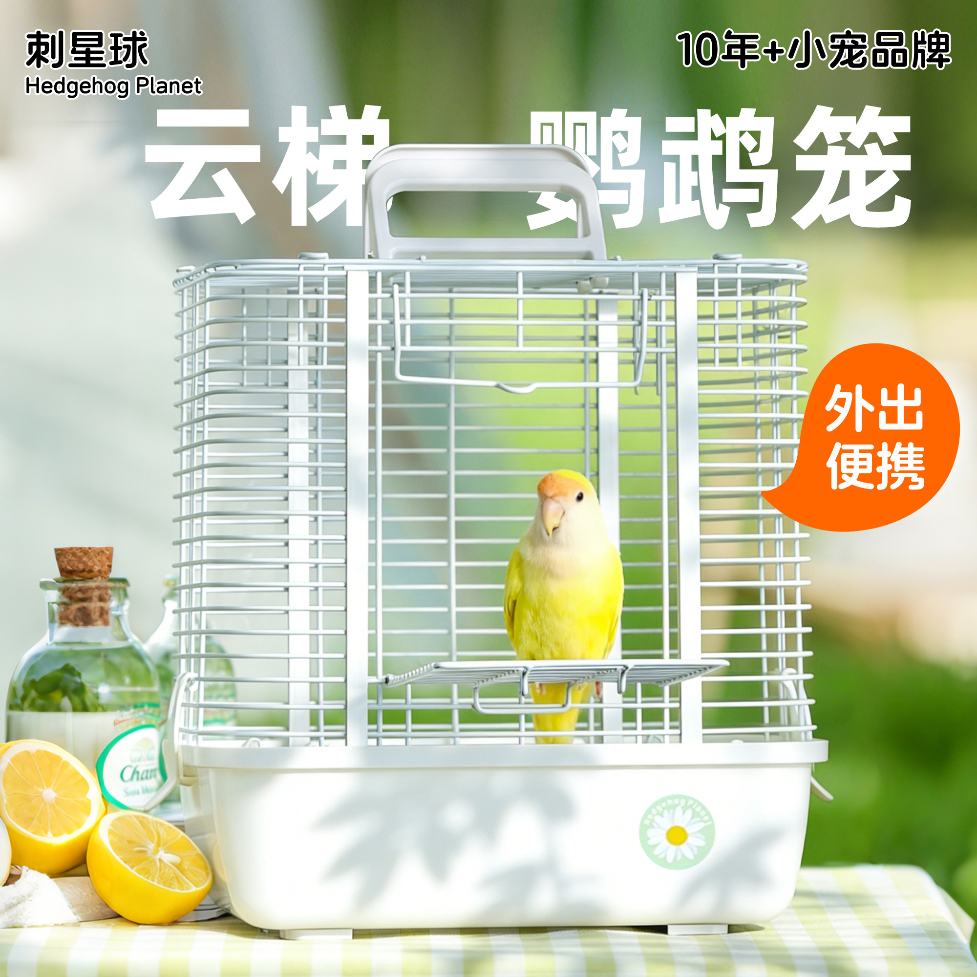 刺星球时尚耐用云梯外带笼横线鹦鹉外出笼鸟笼蜜袋鼯手提笼
