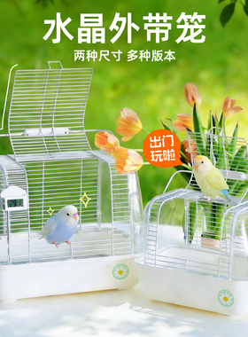 大空间刺星球水晶鹦鹉外带笼鸟笼轻便手提仓鼠蜜袋鼯兔子外出笼