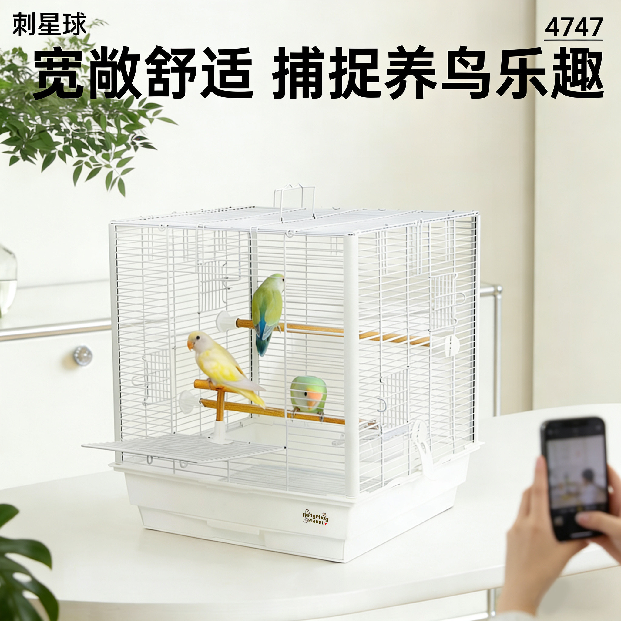 4747加宽47cm横线方笼刺星球立柱基础鹦鹉鸟笼虎皮牡丹玄凤繁殖笼