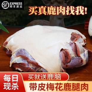 东北长白山梅花鹿肉新鲜现杀带皮腿肉生肉火锅烧烤食材鹿场直销