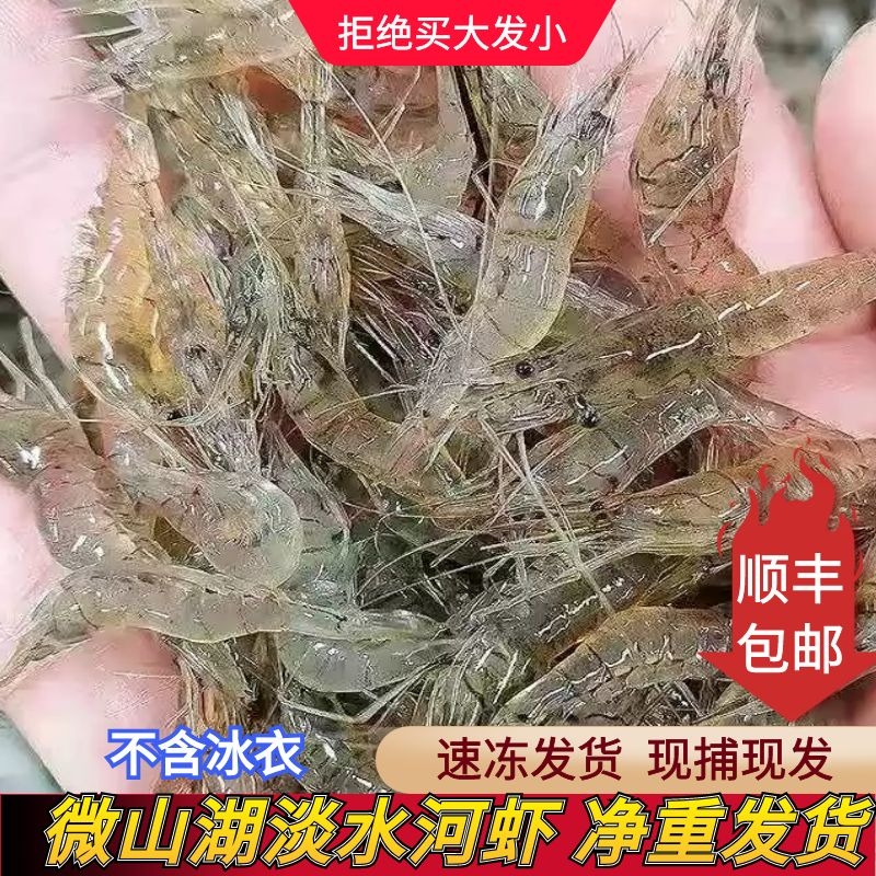 微山湖小河虾淡水虾小明虾土虾现货现发顺丰包邮新鲜鲜活冰鲜到家