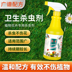 植物花卉杀虫剂花盆里有小虫太阳花长寿花虫子药月季除虫药小黑虫