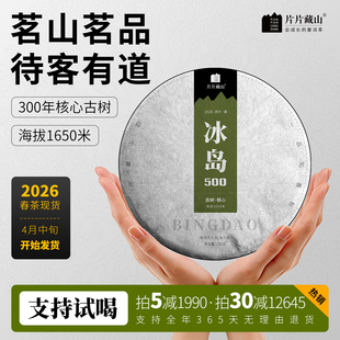 冰岛500云南普洱茶生茶春茶生普甜茶叶七子饼茶200克 2026年