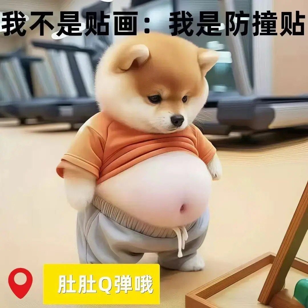 柴犬立体开门防撞贴纸大肚皮小狗捏捏乐创意解压家居汽HP