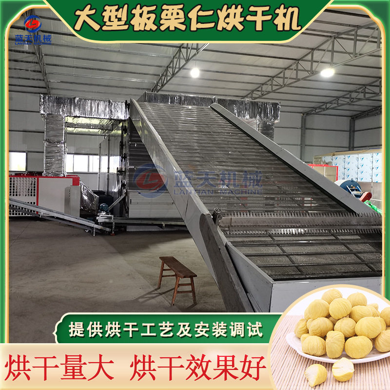 板栗仁烘干机 网带全自动板栗脱水烘干设备 栗子仁甘栗干果风干机
