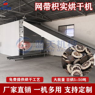 网带枳实烘干机 连续式枸橘酸橙枳实片烘干流水线 枳壳枳橙风干机