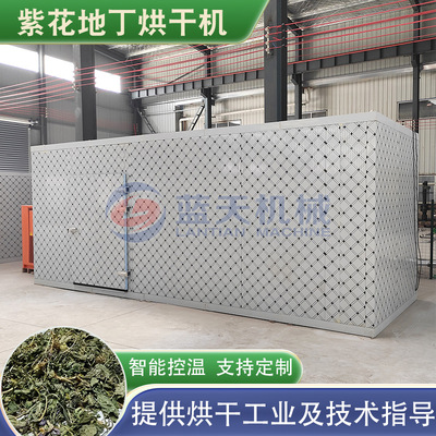 紫花地丁烘干机 野堇菜蒲公英脱水烧生物质烘干房 紫地丁烘干设备